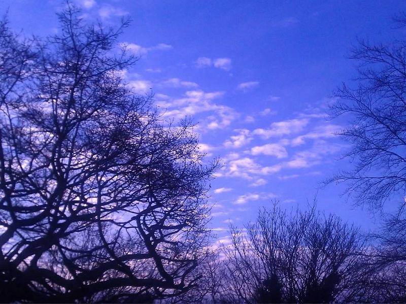 Winter Sky.jpg